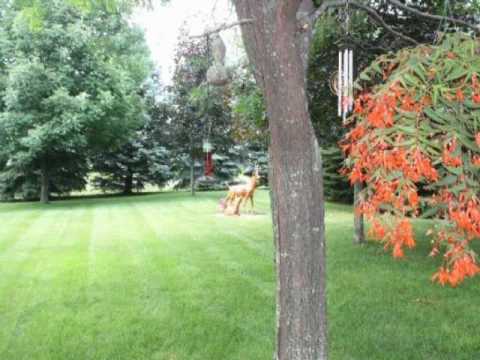 Hebron Indiana Home for Sale | BahVideo.com