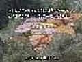 Fairy Tail 11 VOSTFR SSF erems free fr | BahVideo.com