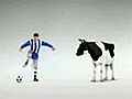 Football Lover Cow | BahVideo.com
