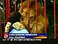 Lion Kisses Woman | BahVideo.com