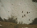 Quatre Fran ais emport s par une avalanche | BahVideo.com