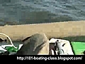 Angry Elephants Attack Three People on a Boat | BahVideo.com