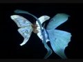 moth s circus | BahVideo.com