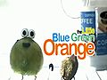 The Little Blue Green Orange | BahVideo.com