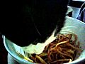 Mr Tickles eating pasta | BahVideo.com