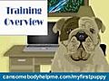 How to Care for a Puppy - Part 1 of 3 | BahVideo.com