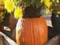 Pumpkin Planter | BahVideo.com