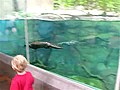 Cute Kid And Cute Otter Are Really Cute Together | BahVideo.com