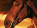 WATCH Steven Spielberg Debuts amp 039 War Horse amp 039 Trailer | BahVideo.com