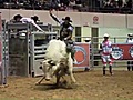 Professional Bull Riding at the Hampton Coliseum  | BahVideo.com