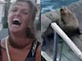Quando gli animali ridono di noi la foca fa  | BahVideo.com