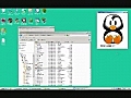 Penguin Trainer | BahVideo.com