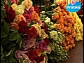 Comment conserver des fleurs coup es | BahVideo.com