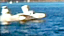 Plane Splash Lands in Sausalito | BahVideo.com