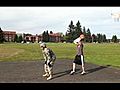 Army basketball trick shot FAIL | BahVideo.com