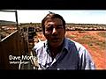 Australian live cattle export | BahVideo.com