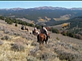 Real trips Cattle Ranching in Wyoming | BahVideo.com