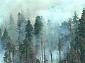 Waldbrand verw stet eine Fl che von 1000  | BahVideo.com