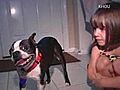 Take a Look Canine Reunion | BahVideo.com