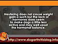 Dog Weight Loss Losers flv | BahVideo.com