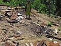 Police violence and illegal evictions near Papua New Guinean gold mine must be investigated | BahVideo.com