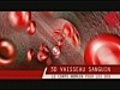 Les vaisseaux sanguins en 3D | BahVideo.com