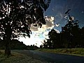 Great Bunya Drive | BahVideo.com