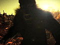 Finding Bigfoot I Saw Bigfoot  | BahVideo.com