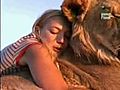 Chick Hugging Her Lions | BahVideo.com