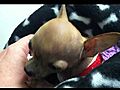 giving love before her 5th surgery | BahVideo.com