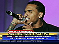 Chris Brown s gay slur | BahVideo.com