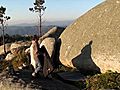 Os Sete Pilares do Bouldering IV T cnica  | BahVideo.com