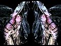 Born this Way- Lady GaGa feat Maria Aragon  | BahVideo.com