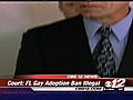 Gay Adoption Decision | BahVideo.com