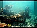 Undersea Garden Samoa 2004 | BahVideo.com