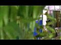 Floralys Jardinerie | BahVideo.com