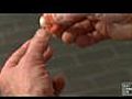 How to shell a shrimp | BahVideo.com