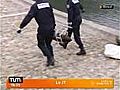 Lyon une bombe dans le Rh ne | BahVideo.com