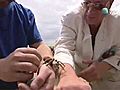 Gli insetti da incubo di John Lydon | BahVideo.com