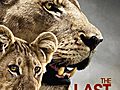 The Last Lions | BahVideo.com