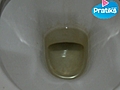Comment nettoyer une cuvette WC entartr e | BahVideo.com