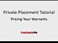 Private Placement Tutorial - Pricing Your Warrants | BahVideo.com