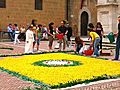 Pienza Italy - Infiorata the Festival of Flowers | BahVideo.com