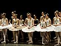 Ballet Video | BahVideo.com