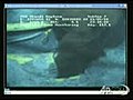 La falla principale del pozzo Bp nel Golfo del  | BahVideo.com