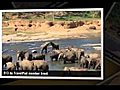  White Water Rafting Elephants Trent s photos around Kitulgala Sri Lanka | BahVideo.com