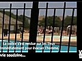 Vid o Buzz Il se jette dans une piscine  | BahVideo.com