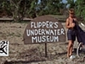 Flipper s Underwater Museum | BahVideo.com