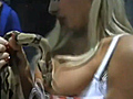 Snake Bites A Big Fake Titty | BahVideo.com