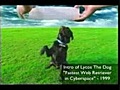 Lycos reclamespot | BahVideo.com
